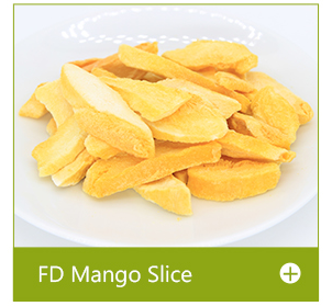 freeze dried mango slice