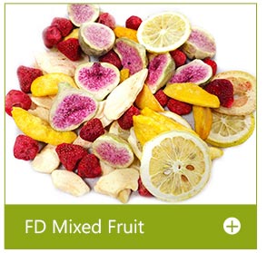 freeze dried fruit bulk