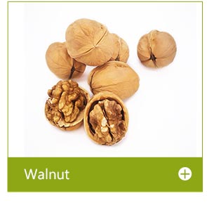 walnut