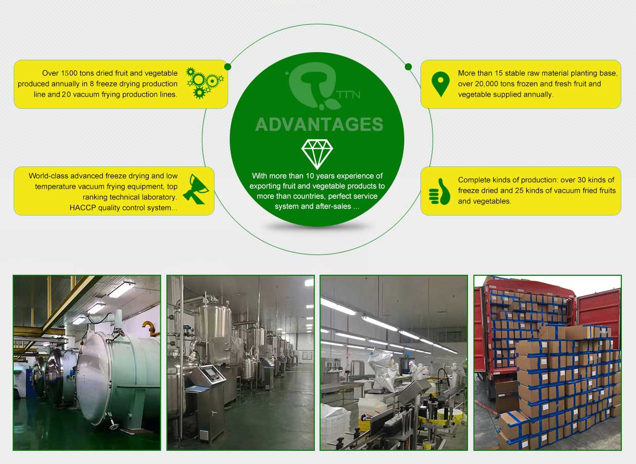 freeze dried fruit manufacturers