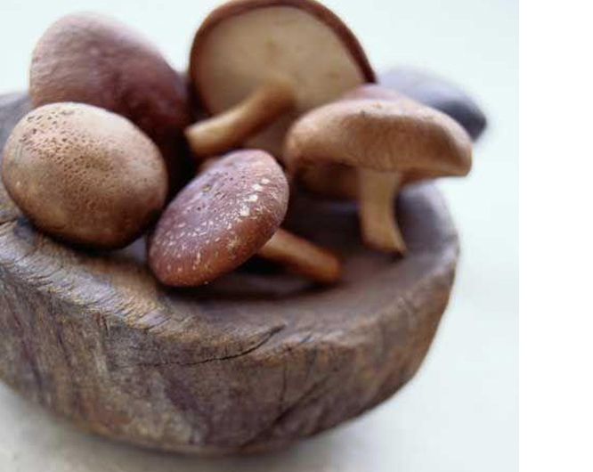 China shiitake mushrooms crisps factory
