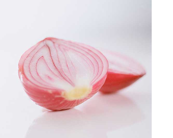 China vacuum fried Onion Slice suppliers