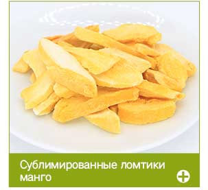 freeze dried mango slice