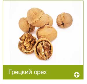 walnut