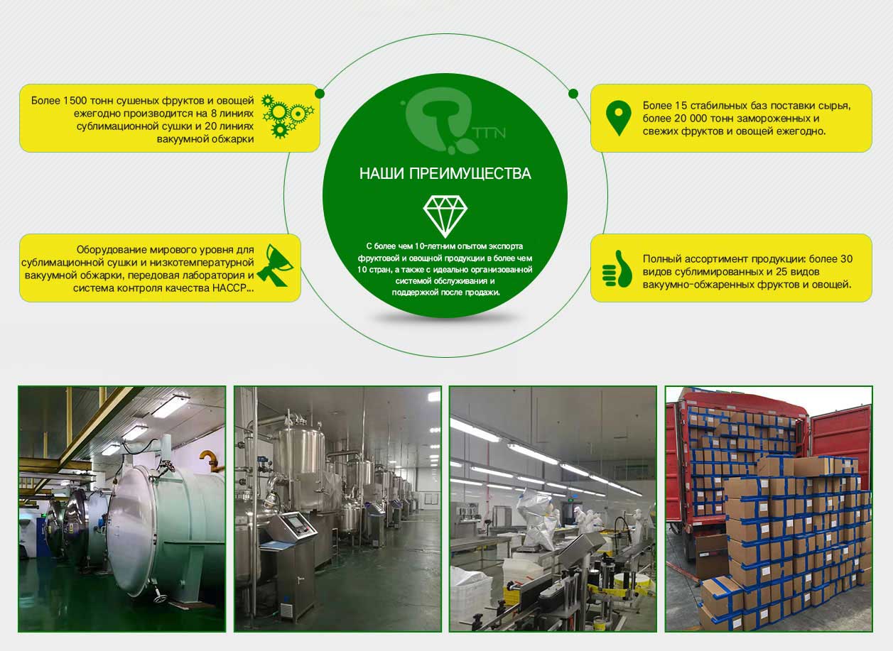freeze dried fruit manufacturers