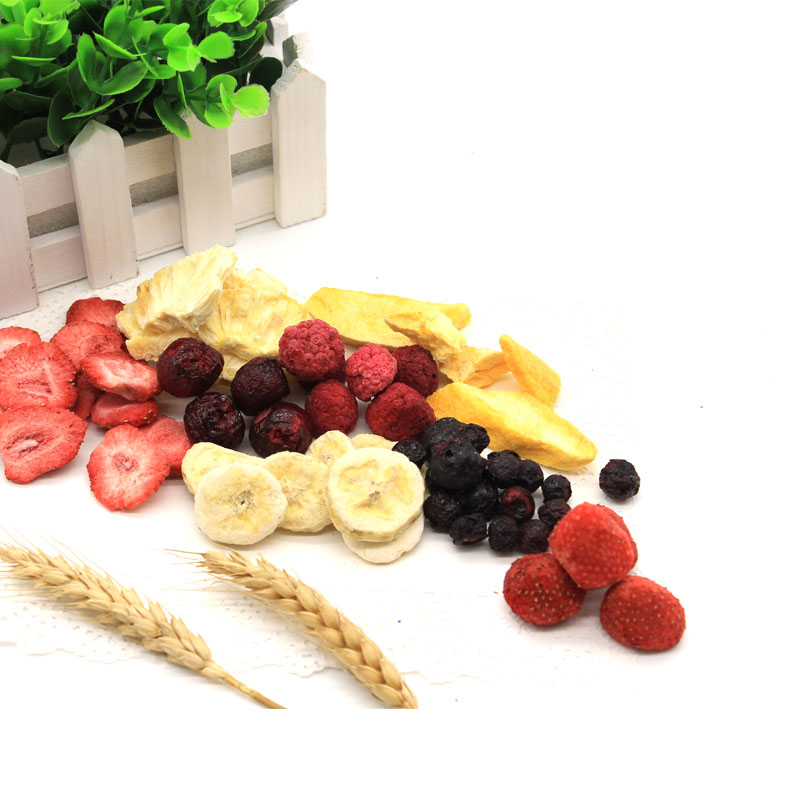 freeze dried fruit crisps made in China