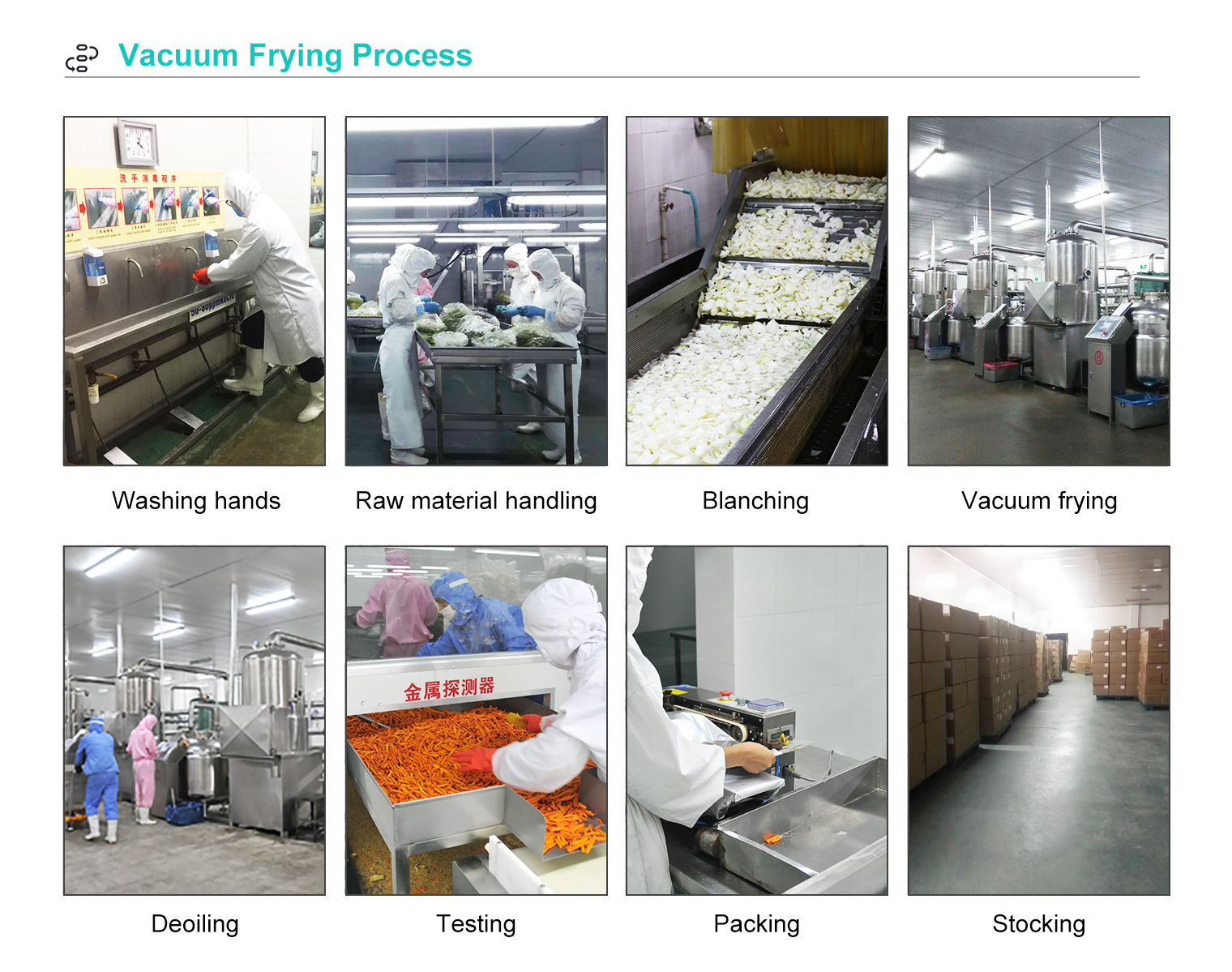 vacuum fried Onion Slice factory