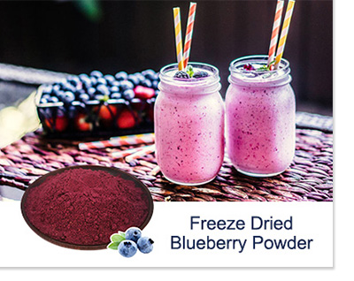 China freeze dried blueberry Powder