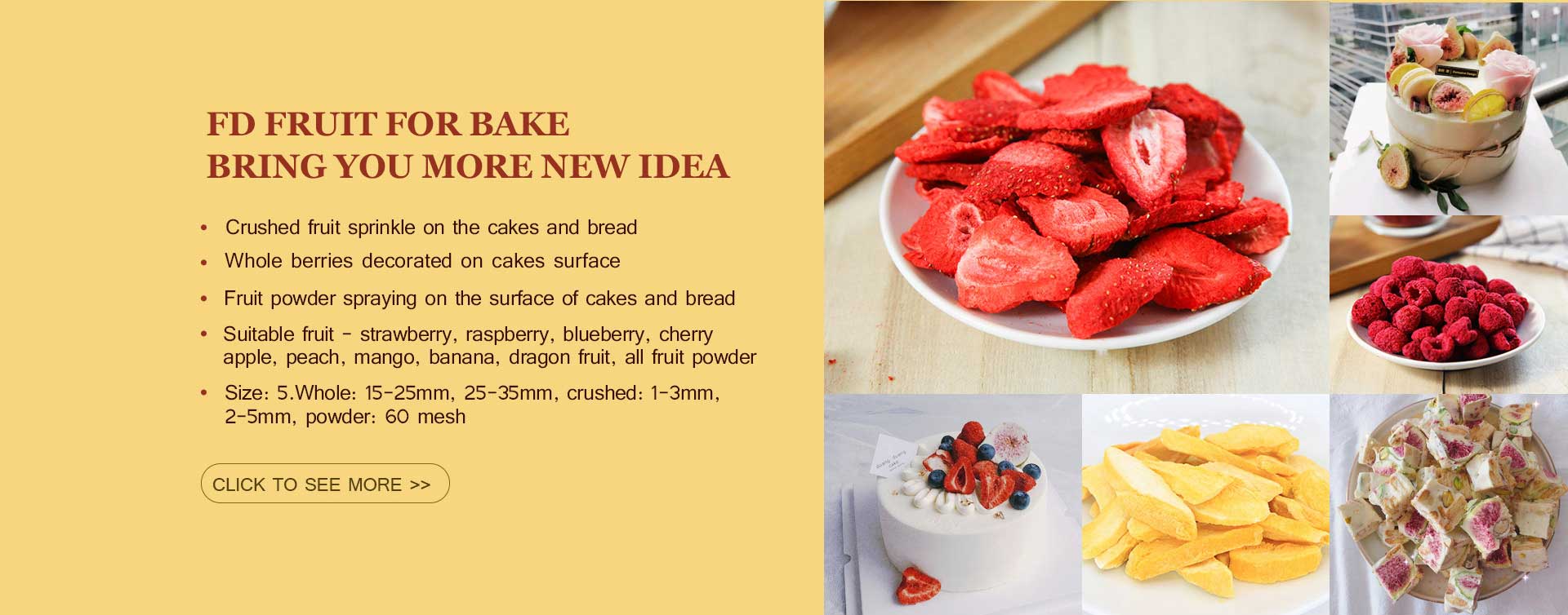 dried fruit snacks