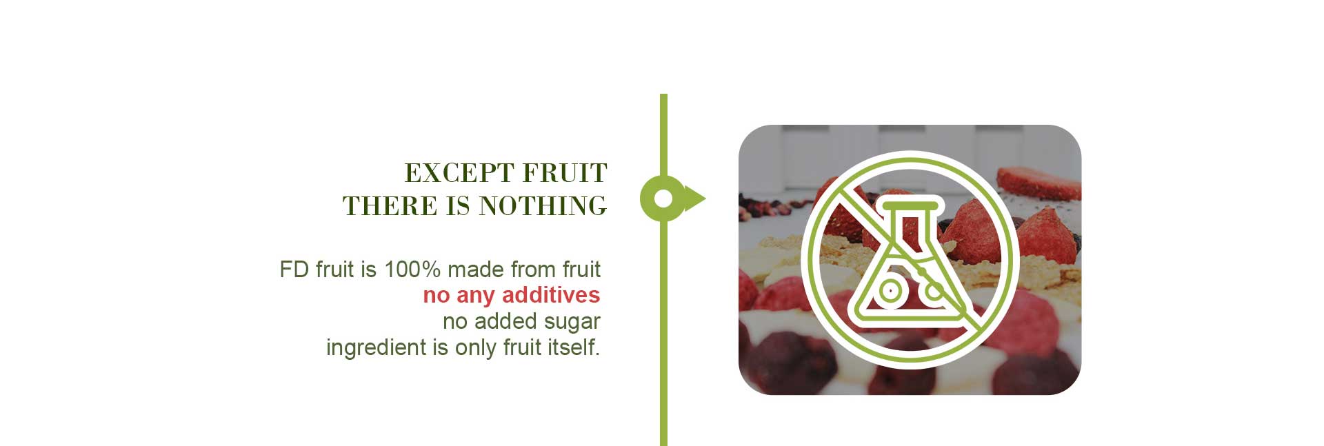 freeze dried fruit for sale