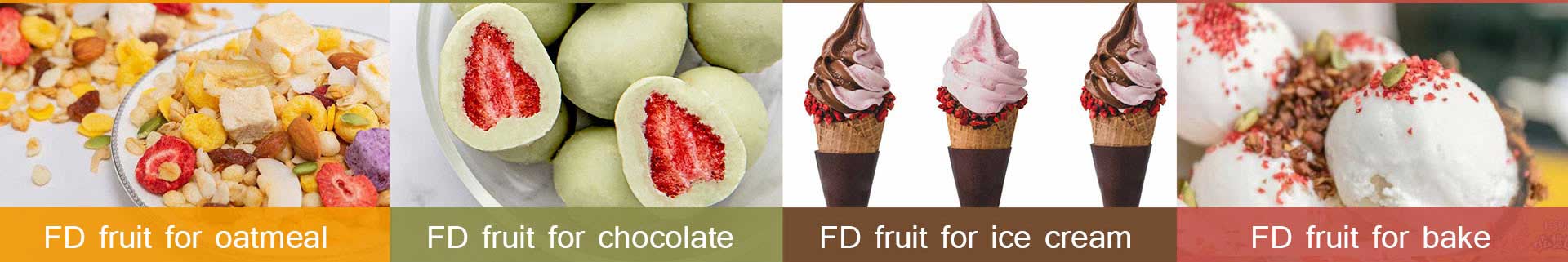 freeze dried fruit juice