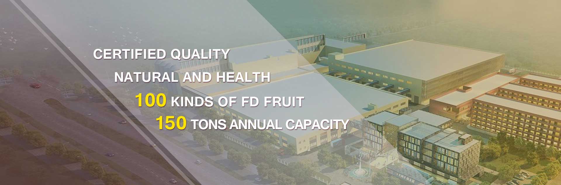 freeze dried fruit powder bulk