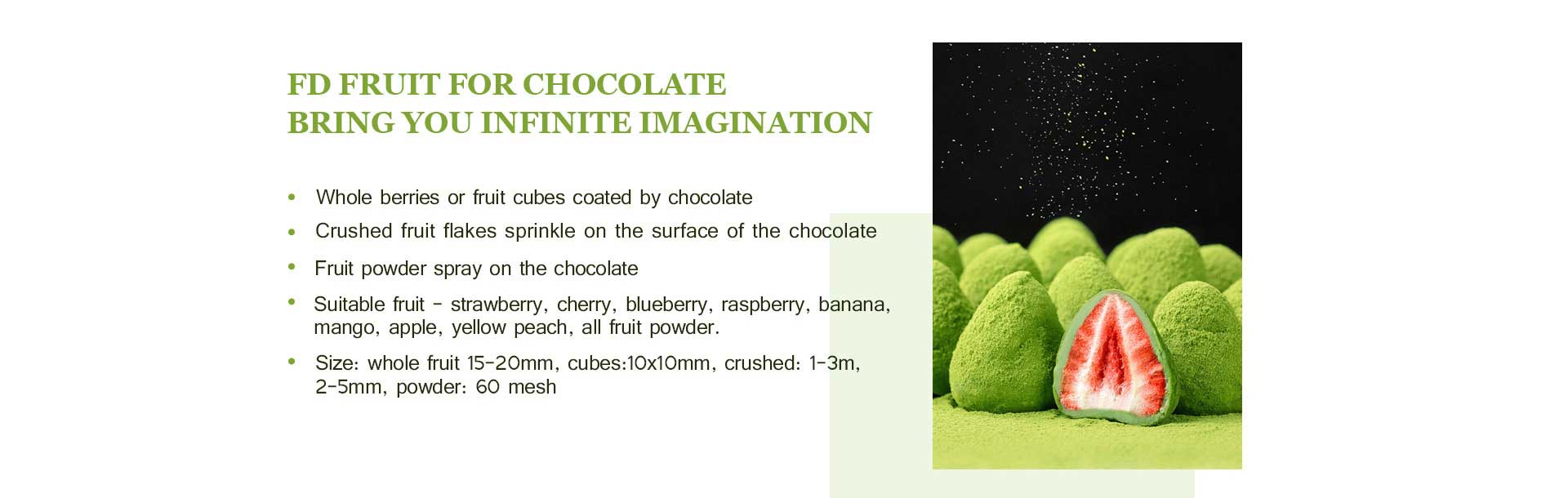 freeze dried coconut powder