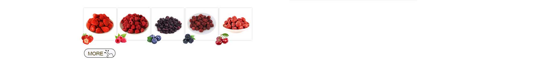 freeze dried fruit powder for baking