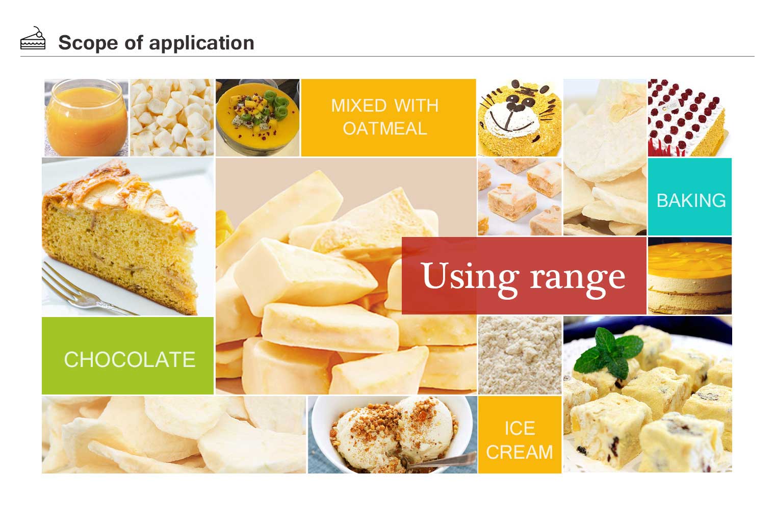 organic freeze dried mango