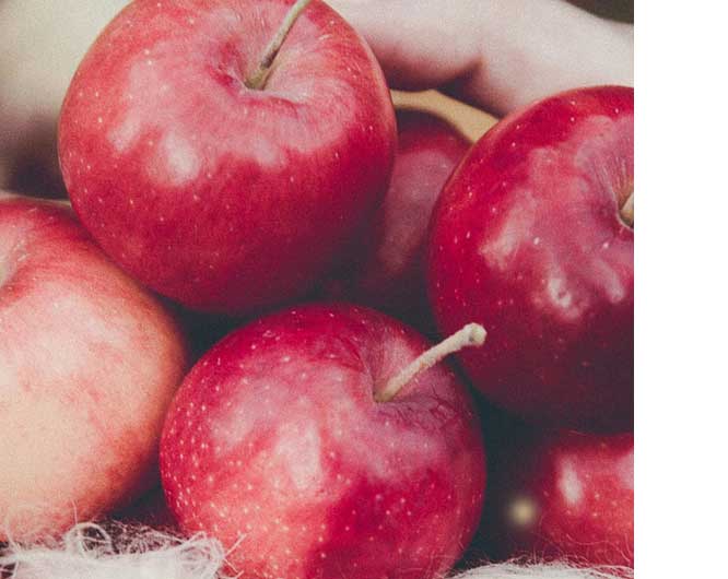 China freeze dried apple Pieces