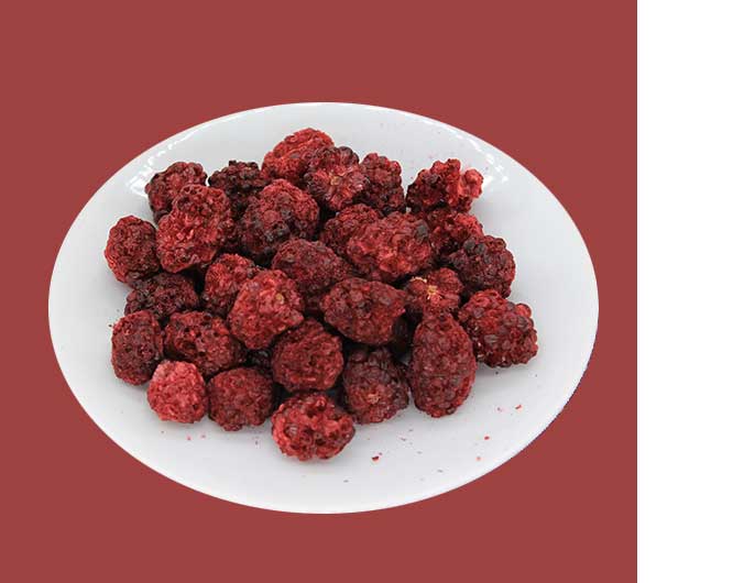 freeze dried food companies