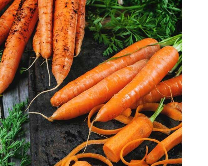 vacuum fried Carrot Slice made in China