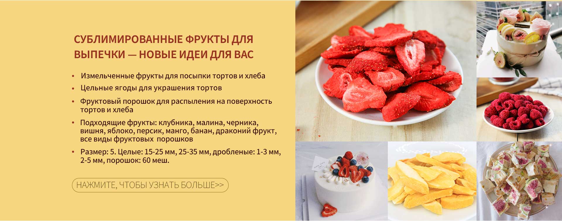 dried fruit snacks