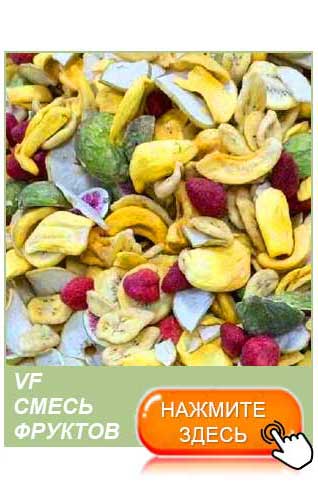 bulk freeze dried fruits and vegetables