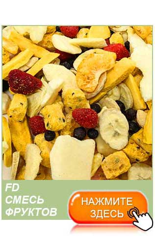 freeze dried fruit manufacturers