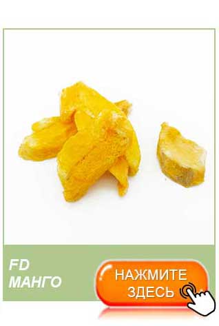freeze dried mango bulk