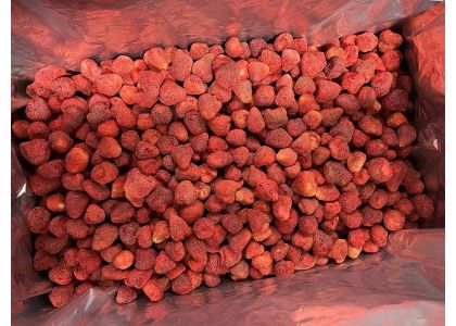 FD strawberry loaded in container