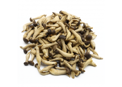 New product！beech mushrooms