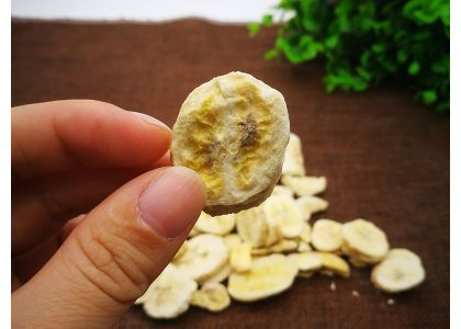 Are freeze dried bananas good for dogs